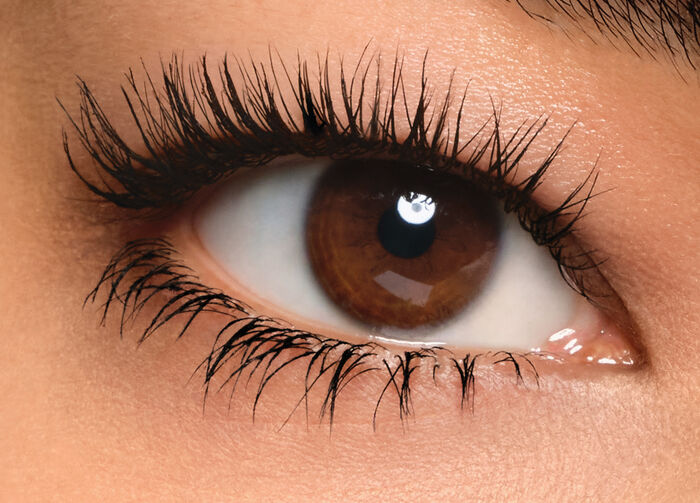 Notorious Mascara, 