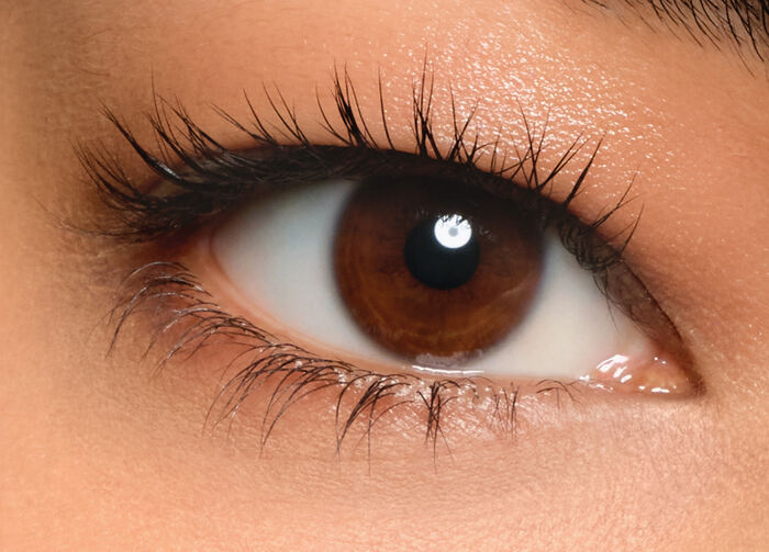 Notorious Mascara, 